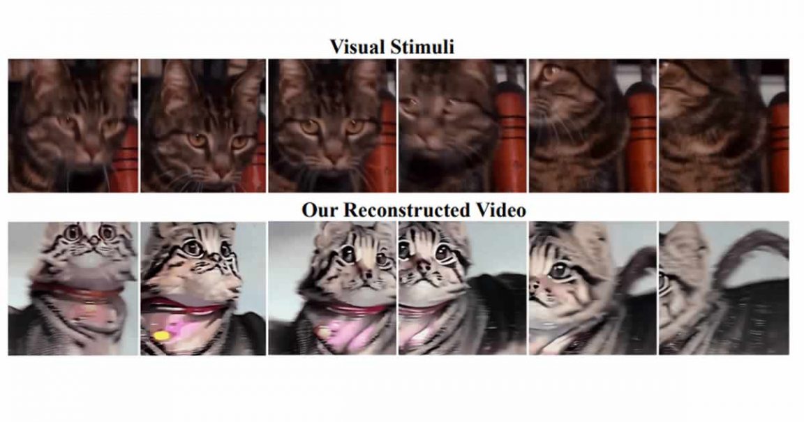 AI Reconstructs High-Quality Videos from Brain Activity