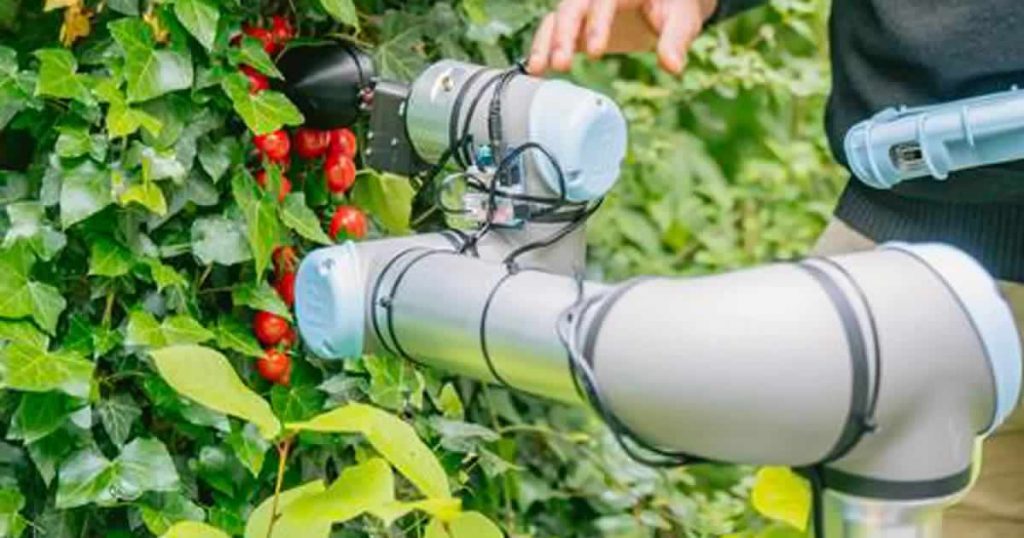 ChatGPT tomato-picking robot